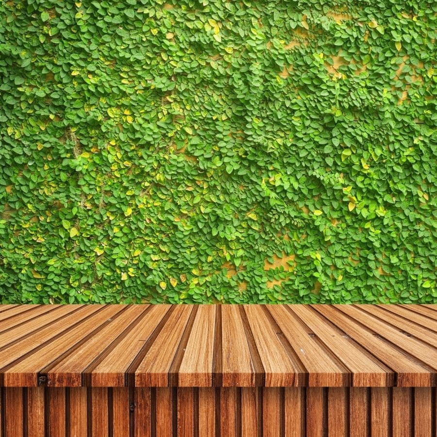 Gallery photos for Creating the Perfect Outdoor Atmosphere with Seatwalls: Image #7