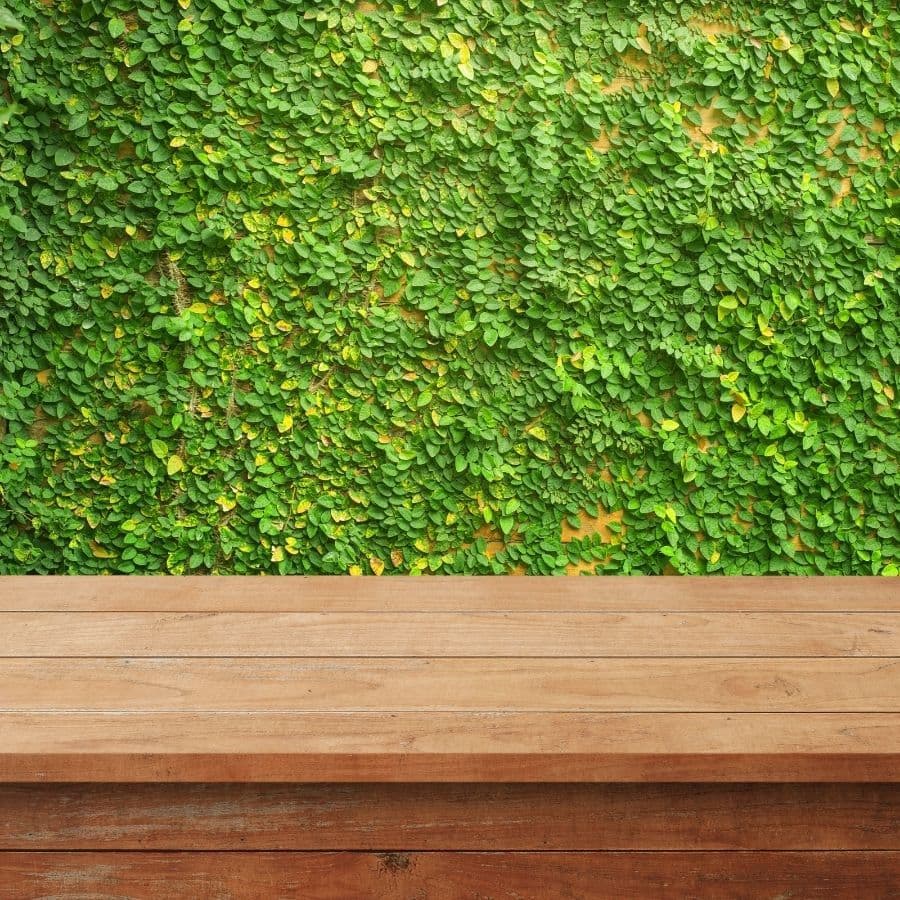 Gallery photos for Creating the Perfect Outdoor Atmosphere with Seatwalls: Image #5