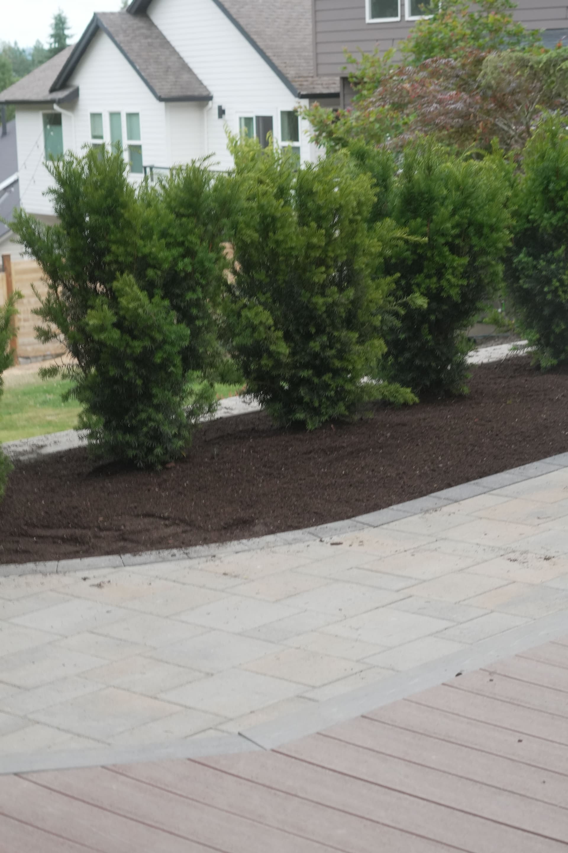 Gallery photos for Paver Side Yard and Retaining Wall With Privacy Shrubs: Image #3