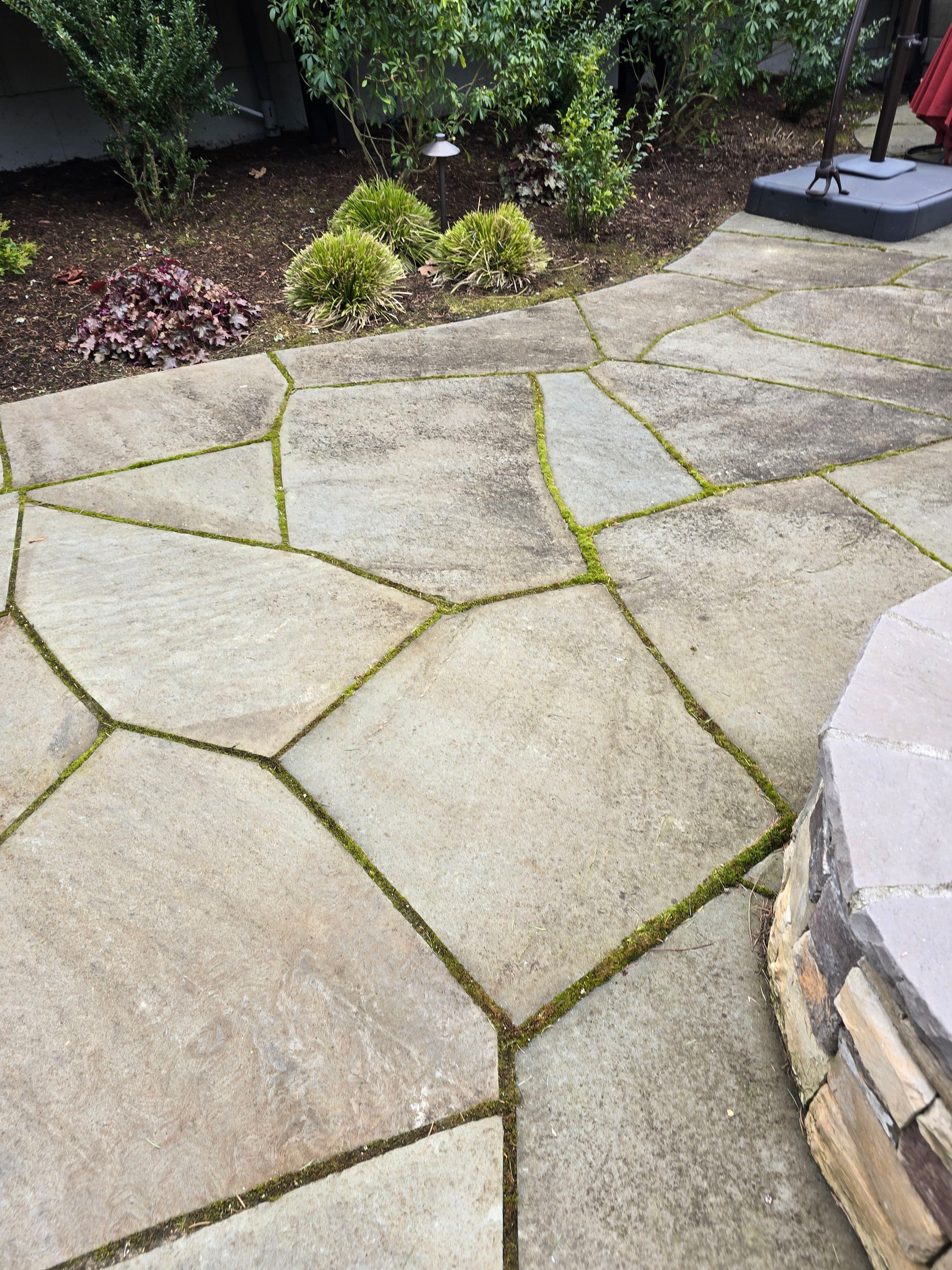 Project Discussing Stone Patios and Their Natural Beauty image