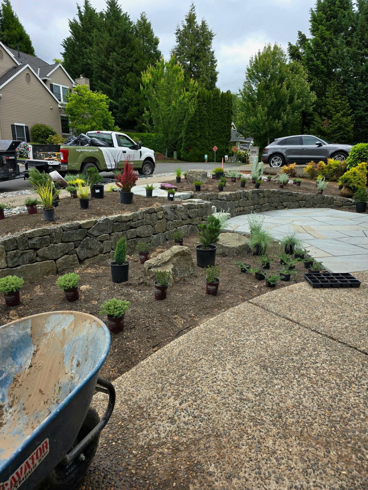 Project Planting Day Next to a Natural Stone Wall and Bluestone Patio image