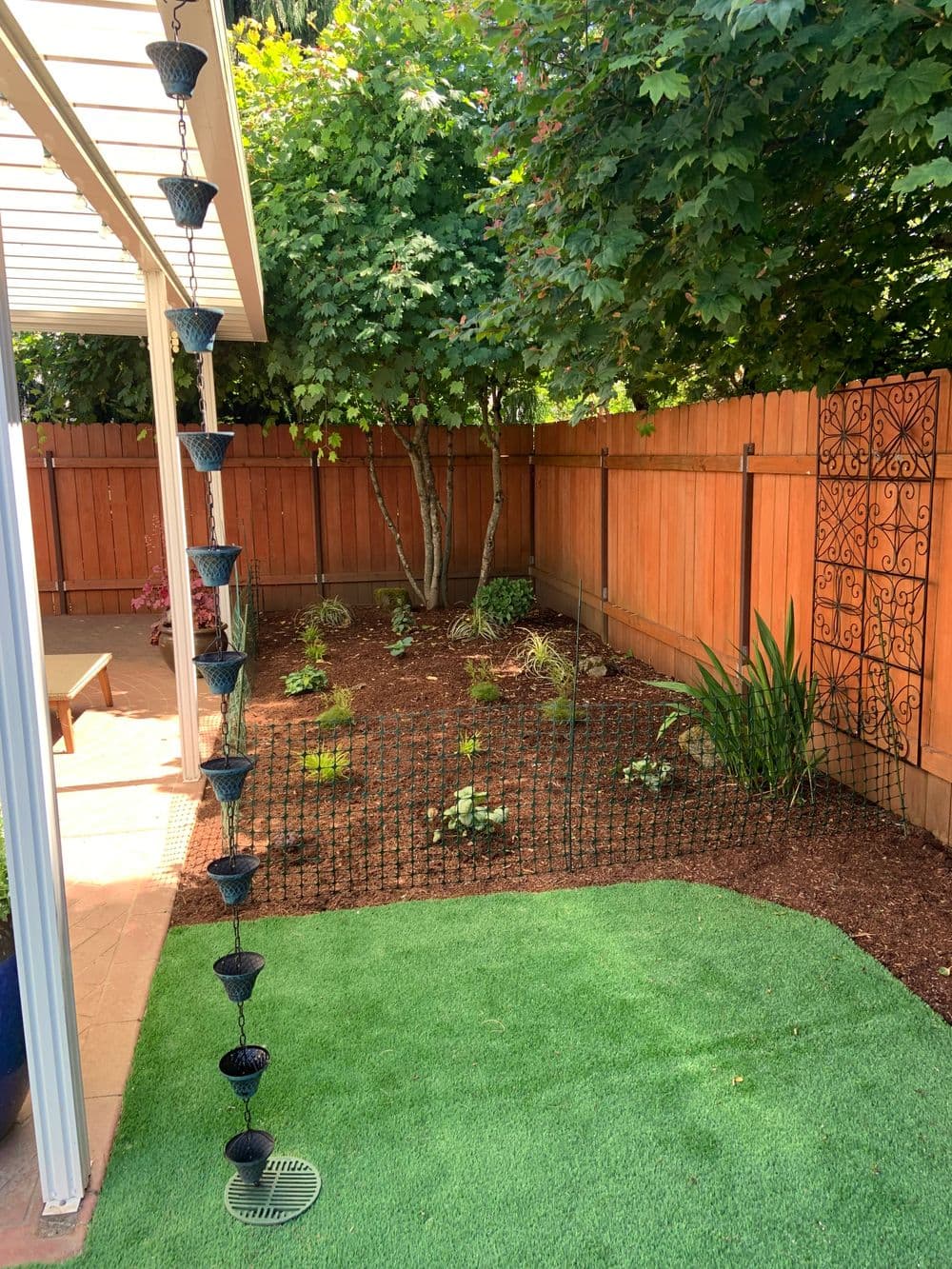 Rain chain in a landscaped backyard surrounded by greenery and wooden fencing.