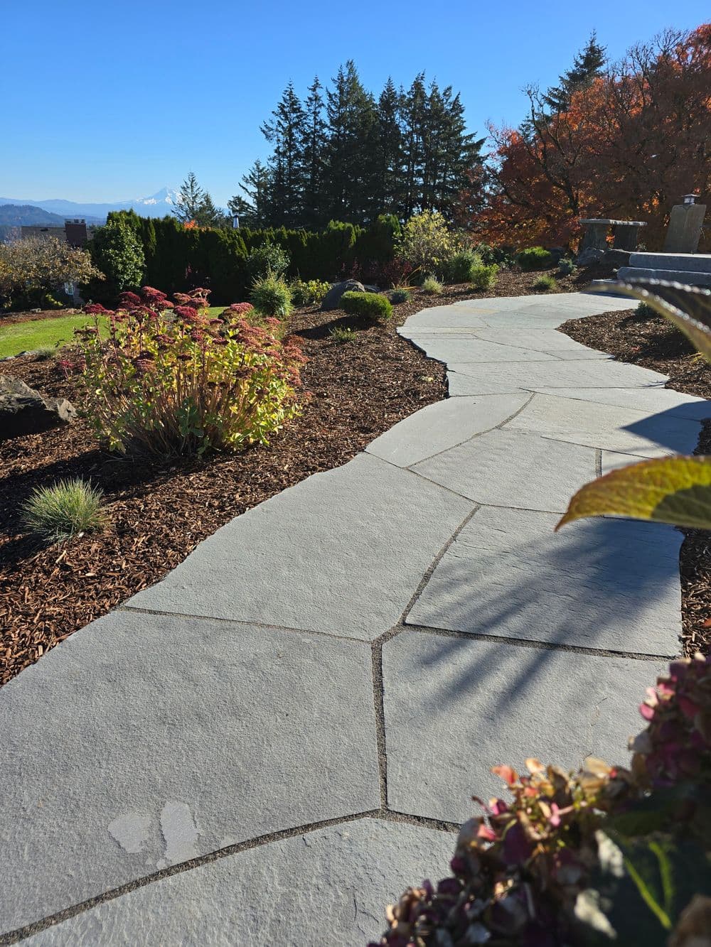 Curved stone walkway surrounded by vibrant plants and trees on a sunny day.