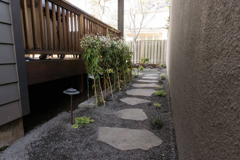 Narrow garden pathway with stone steps and greenery between two buildings.