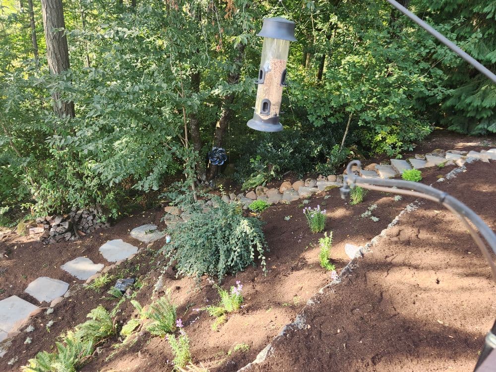 Bird feeder surrounded by newly planted flowers and lush greenery in a garden setting.